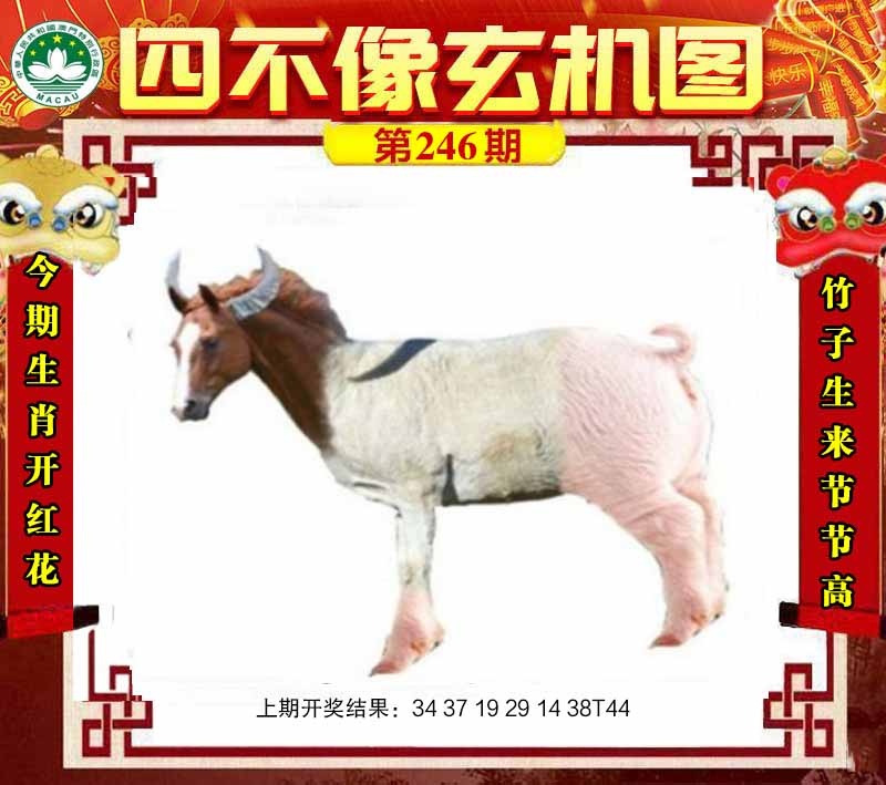 ͼƬŴ